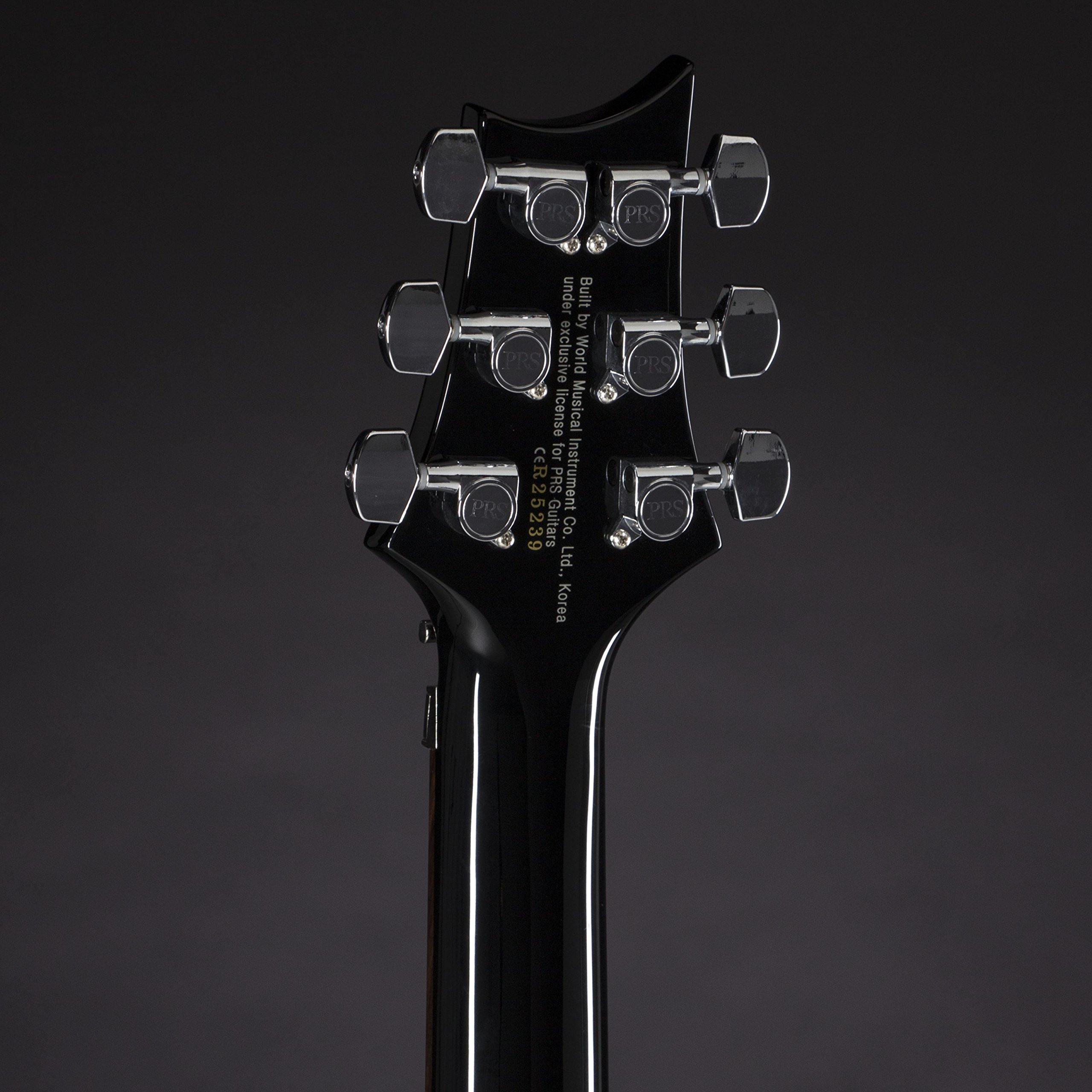 Amazon.com: PRS Paul Reed Smith SE Custom 24 Floyd Rose Electric